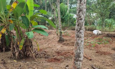 IMG_20240104_1446532-1