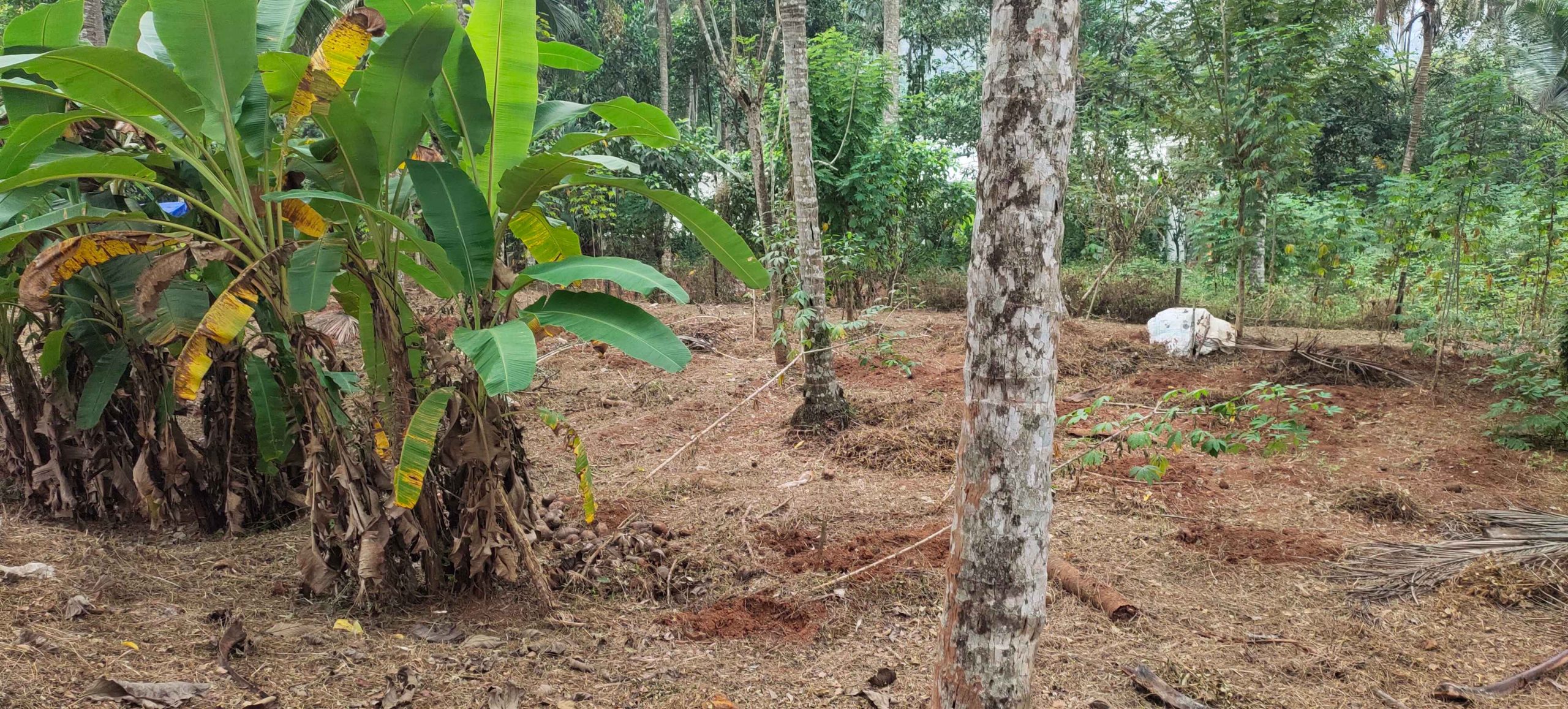 IMG_20240104_1446532-1