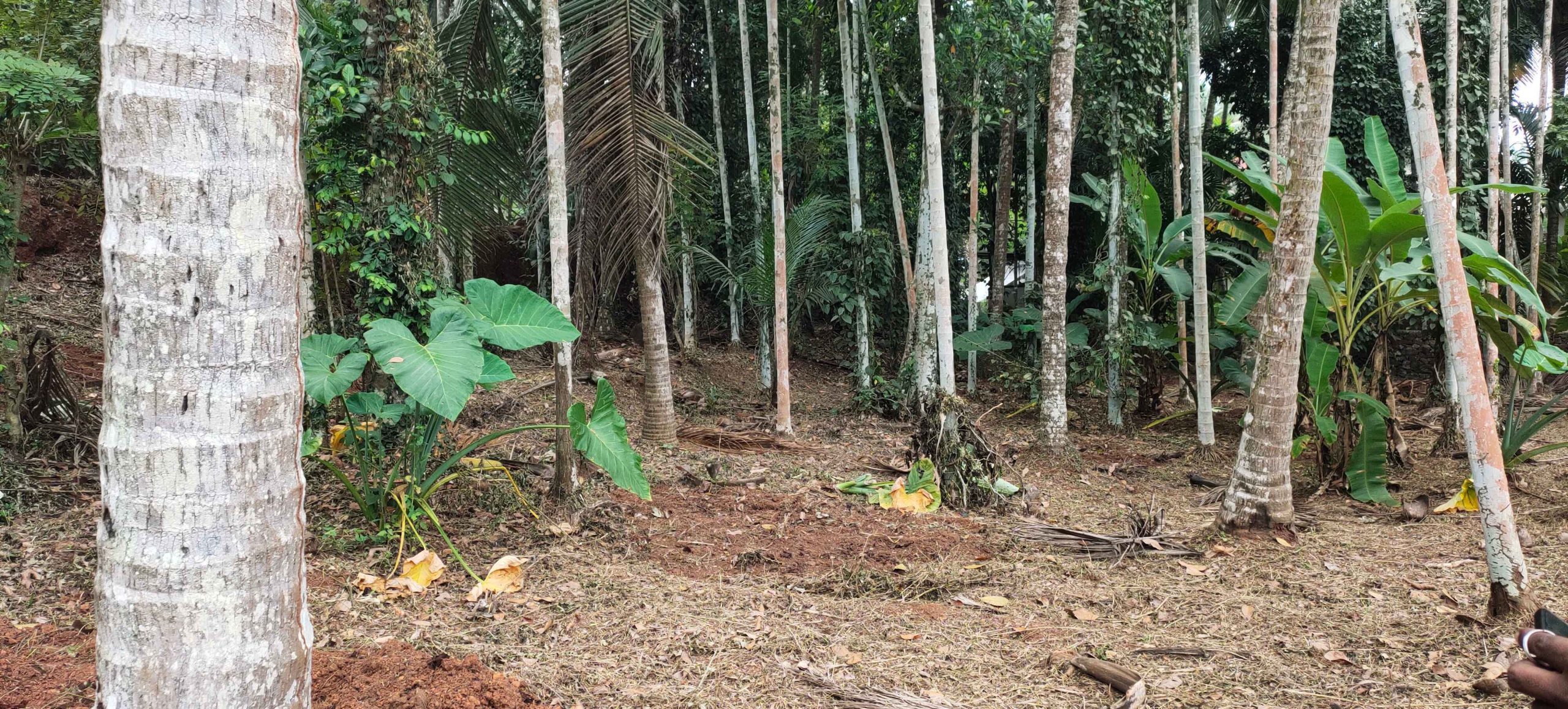 IMG_20240104_145431-1-1-1