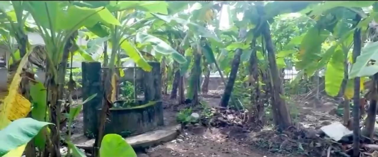 thiruvannur-nada-land-in-calicut-2