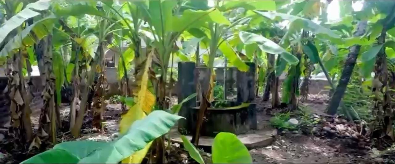 thiruvannur-nada-property-in-calicut